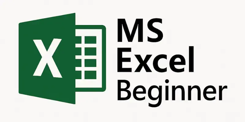MS Excel Beginner